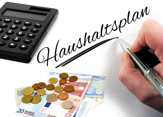 budget, calculator, hand, ballpoint pen, euro, coins, calculate, household, come out, income. Costi di avvio di una PMI in Svizzera: voci da prevedere